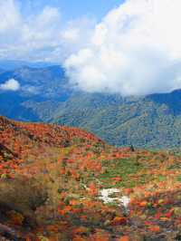 【栃木】死ぬまでにみたい絶景の紅葉