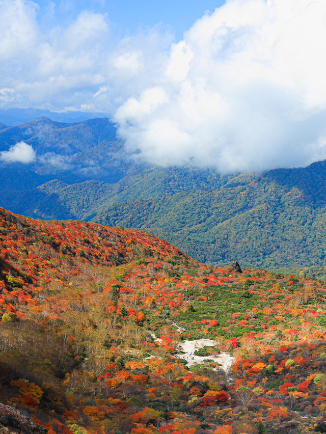 【栃木】死ぬまでにみたい絶景の紅葉