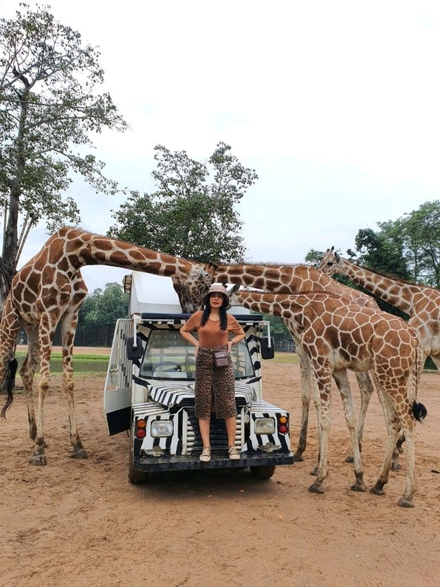 เที่ยวสวนสัตว์เหมือนฟืลแอฟริกาที่ ซาฟารีพาร์ค🦒
