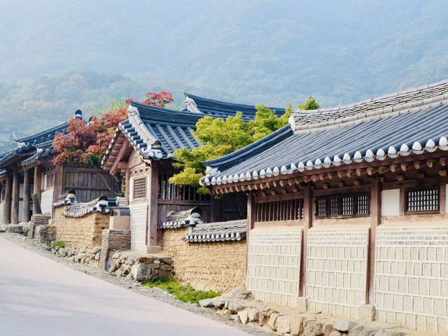 Yongin Dae Jang Geum Park ย้อนเวลาเข้าสู่โลกซีรีส์