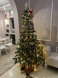 The Cape Boutique Hotel 