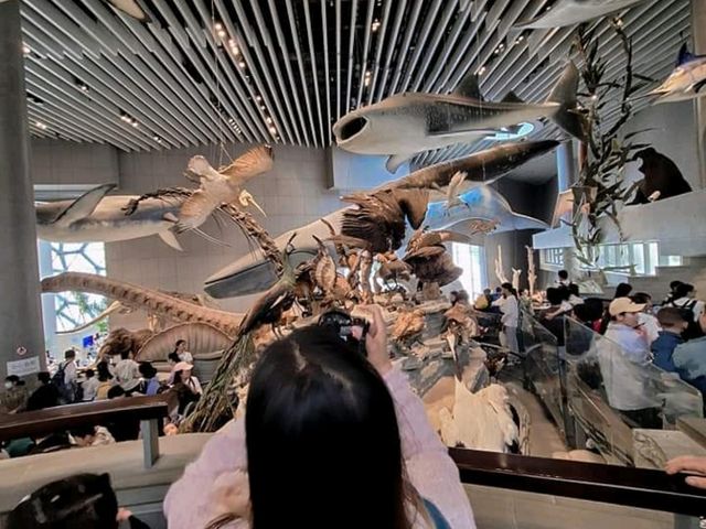 🦕🦓🦌Shanghai natural history museum