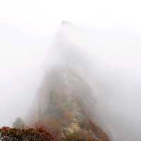 【愛媛県】西日本最高峰の霊峰！スリルと興奮とため息の石槌山紅葉登山