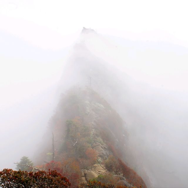 【愛媛県】西日本最高峰の霊峰！スリルと興奮とため息の石槌山紅葉登山