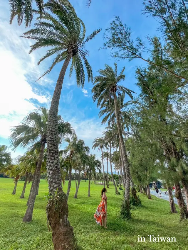 【台灣】彷彿置身夏威夷的椰子樹公園與燈塔