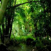 泰國北碧_Rainforest Café_網美拍照打卡咖啡店