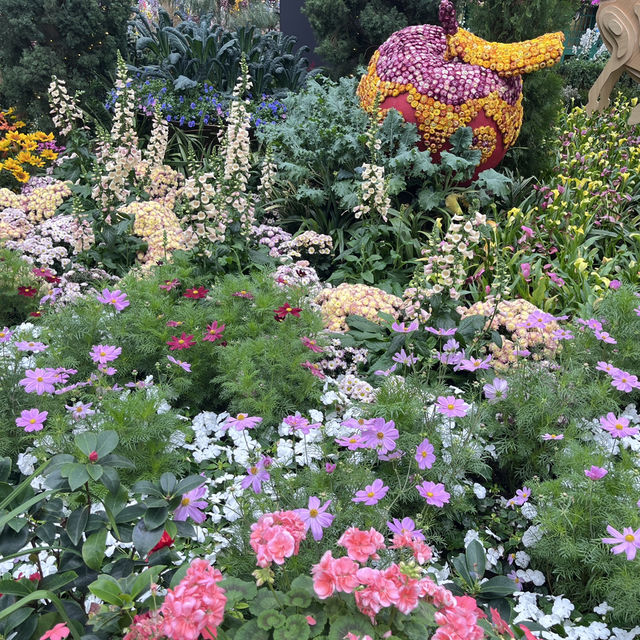 Explore the beauty of Flowers Dome of Singapore Garden by the bay