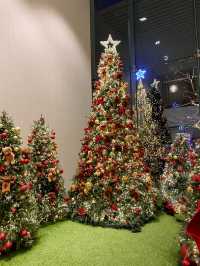 크리스마스 트리 포토존이 가득한 의정부 핫플 🎄아나키아