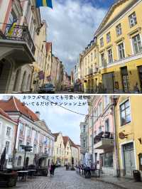 【エストニア】タリン日帰り観光のモデルルート紹介🇪🇪