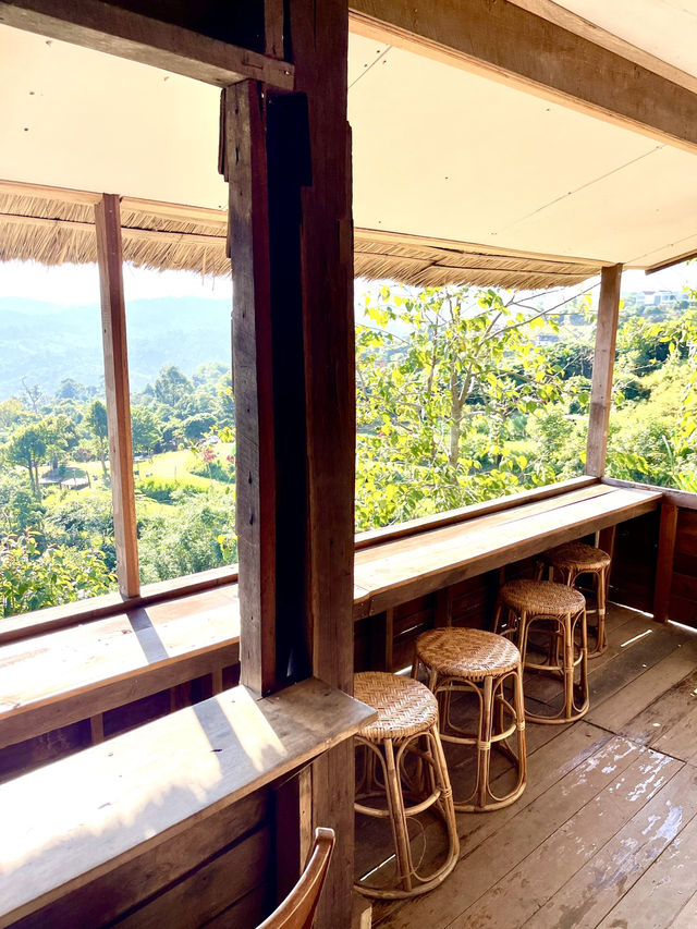ดื่มด่ำวิวภูลังกา Magic Mountains Cafe
