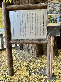 【奈良　素盞雄神社】