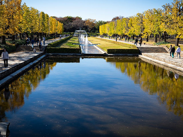 東京國營昭和紀念公園：四季皆美的城市綠洲