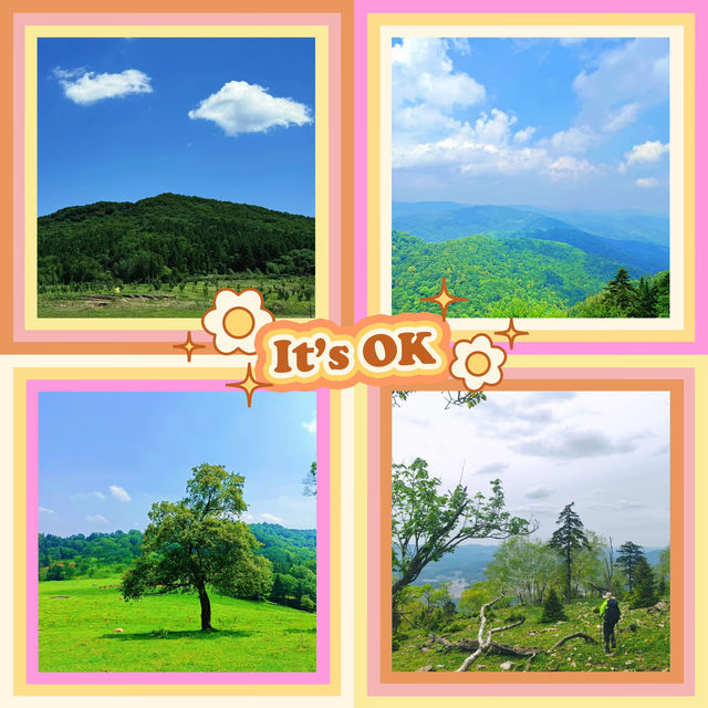 ～鷹峯山～山巒之旅～