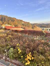 【長野】平尾温泉みはらしの湯♨️