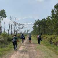 เที่ยว 4 อุทยานแห่งชาติ | ฤดูหนาว 🌳🌿🏕️⛅️