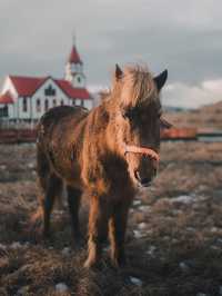 A tiny Guide to Falling in Love with the big and amazing Faroe Islands 