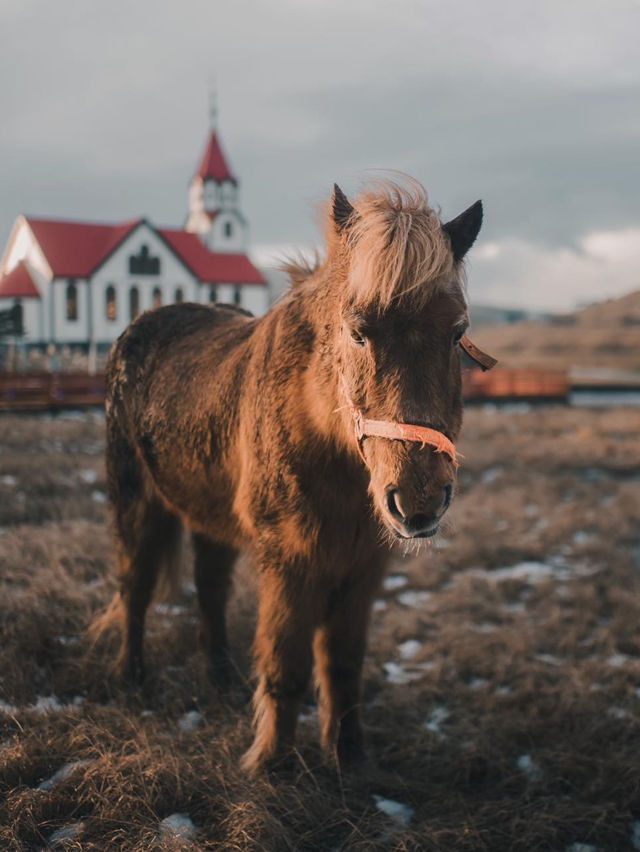 A tiny Guide to Falling in Love with the big and amazing Faroe Islands 
