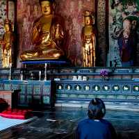 韓國大邱_Bulguksa 불국사 佛國寺_韓國國寶502號