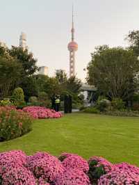 Ideal Place with Stunning Shanghai Skyline 