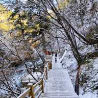 JiuZhaiGou November