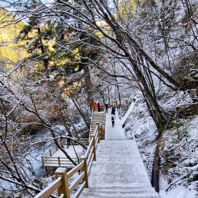 JiuZhaiGou November