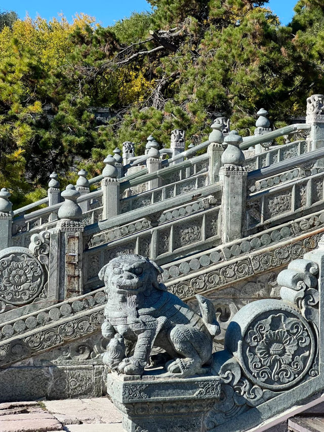 Beiling Park: A Tranquil Escape in Shenyang