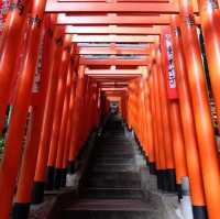 ศาลเจ้าฮิเอะที่มีเสาโทริอิเรียงรายอีกแห่งในโตเกียว