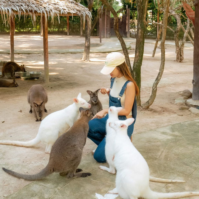 สวนสัตว์สุดคิ้วท์ในสวนผึ้ง 🦙🌲