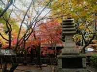 千葉🇯🇵本土寺