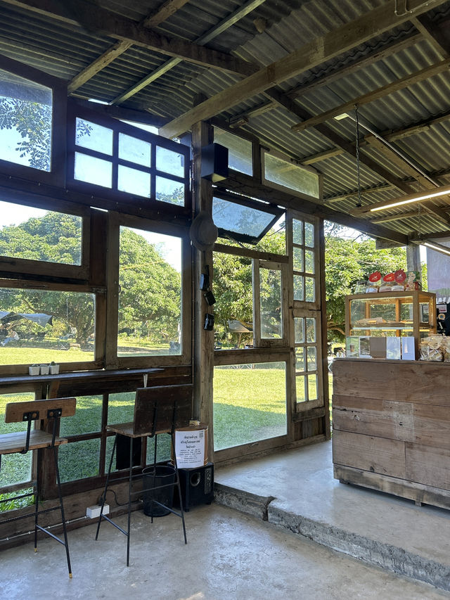 🌳คาเฟ่ลับในป่า “FAR AWAY“ ใกล้ตัวเมือง