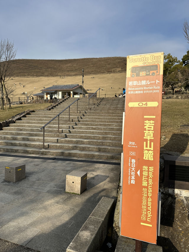登奈良若草山山頂 ⛰️與小鹿齊賞奈良全景🦌