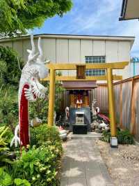 【東京】2025年初詣に行ってほしい!!最強神社はココ!!