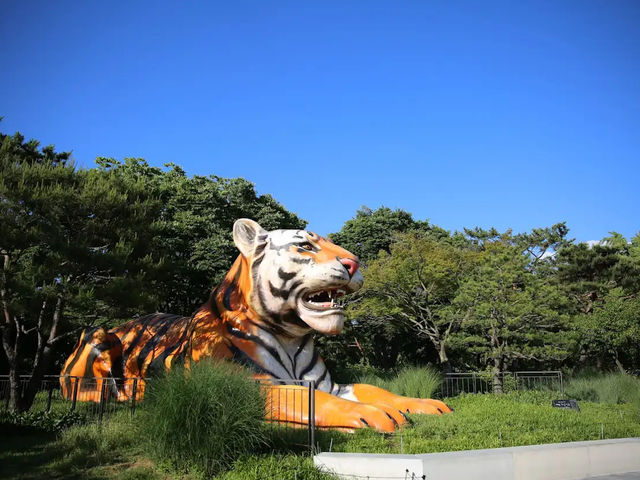 城市的綠洲：一日游首爾大公園