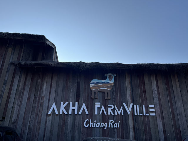  Akha Farmville  🐑⛰️☕️