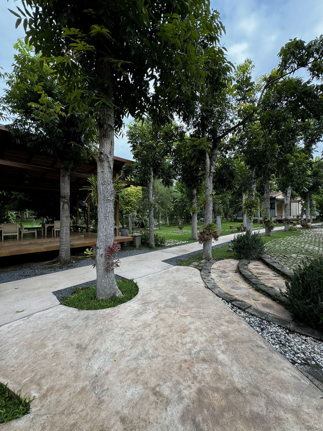 A Bamboo Haven in the Heart of Pak Chong
