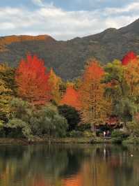 Kinrin Lake: The Heart of Yufuin’s Natural Beauty