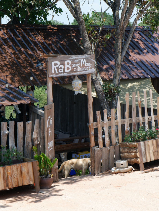 อากาศหนาวๆแบบนี้ ต้องคิดถึงเลย 🍃🏕️
