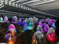 Dive Into a World of Light and Imagination