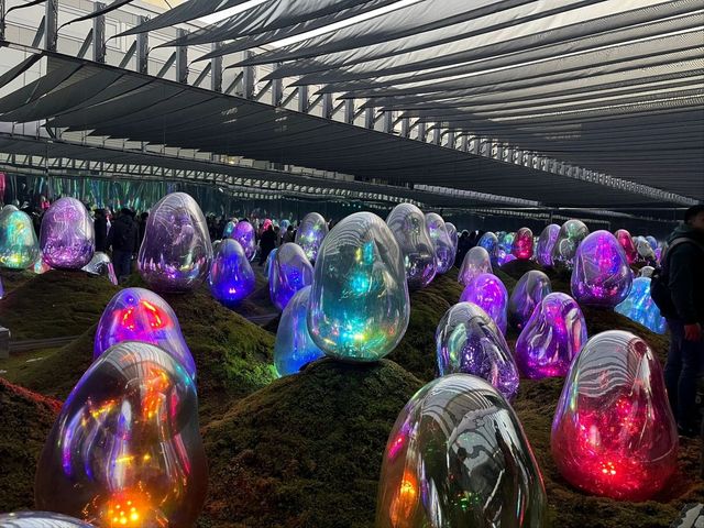Dive Into a World of Light and Imagination