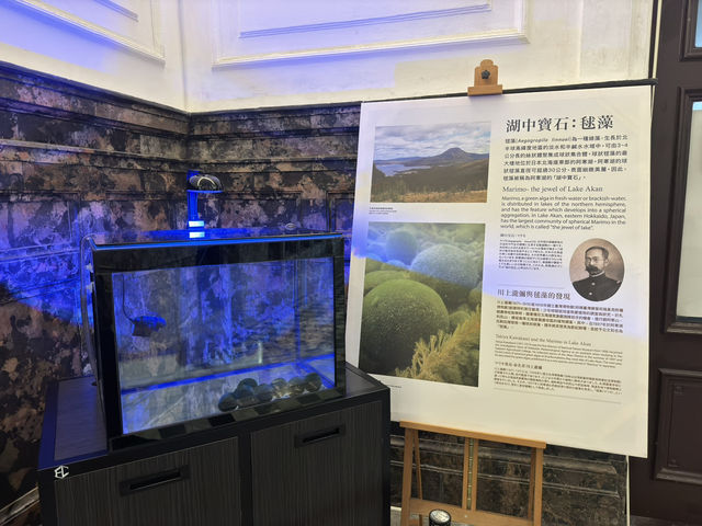 台北 - 國立台灣博物館 - 震撼心靈的生物多樣性之旅 🌍✨
