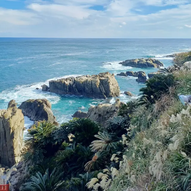 차로 떠나는 가고시마 여행🚗 코스