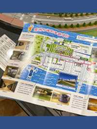 晨運式半日行程～豐洲市場