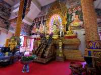 วัดสวยล้านนา ทัศนียภาพทุ่งนา ดอยภูคา อันงดงาม