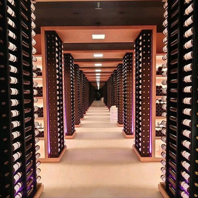 西班牙酒王 Vega Sicilia 酒莊遊