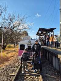 Amaterasu Railyway Fun 🚉