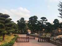 A tranquil oasis in the city