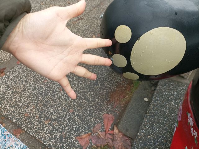 高雄中央公園