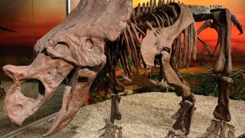 Small dinosaur fossil museum — traveler post in Elche