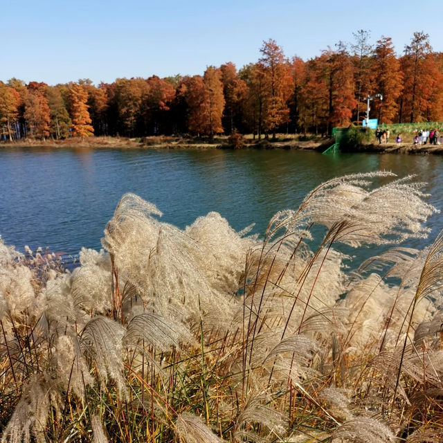 金鐘湖公園•靈氣山水