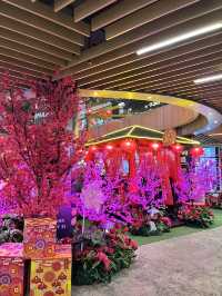 Festive Shopping at 163 Retail Park with CNY Vibes